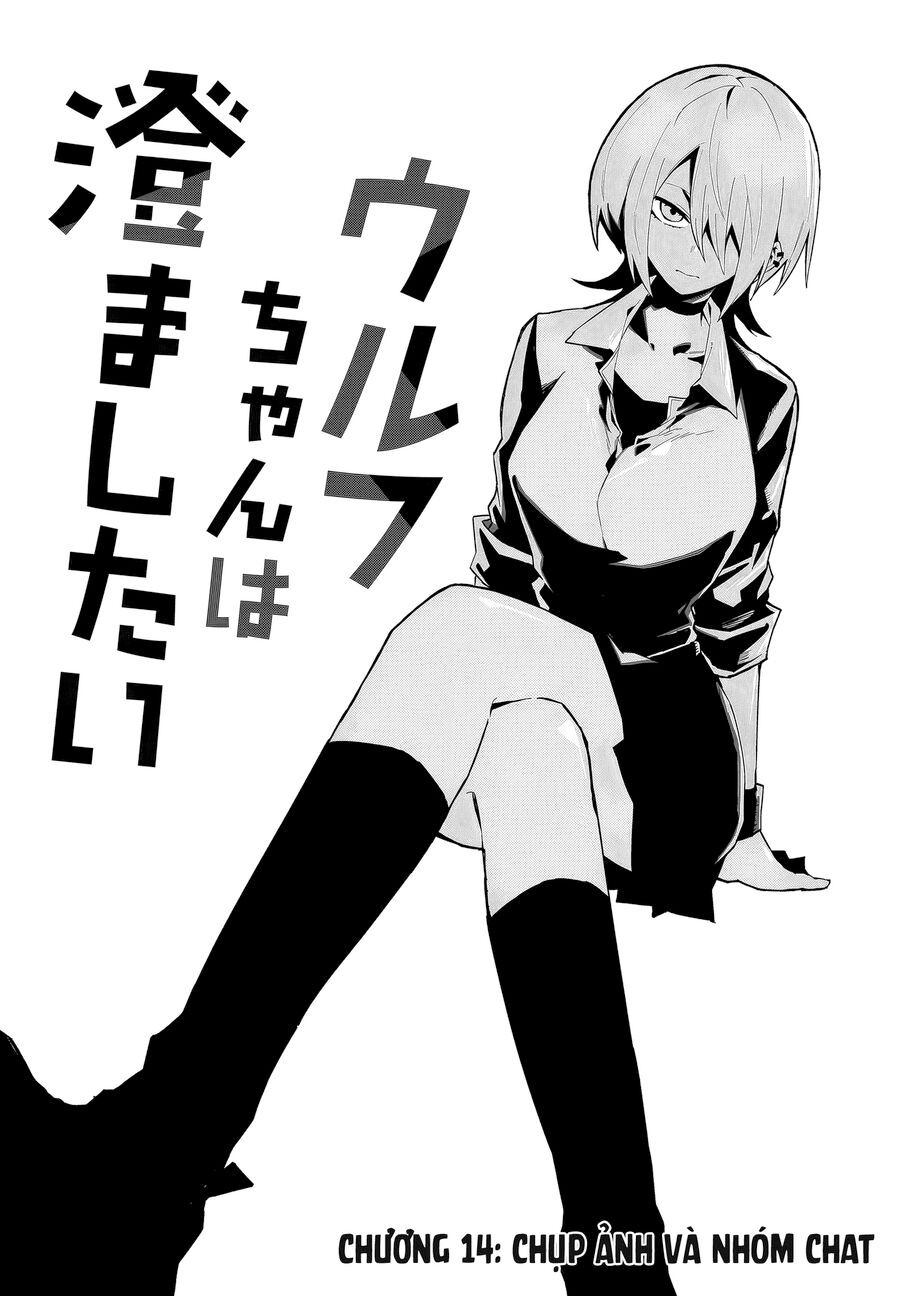 Nàng Sói Giả Vờ Ngầu Lòi Chapter 14 - TC Truyện