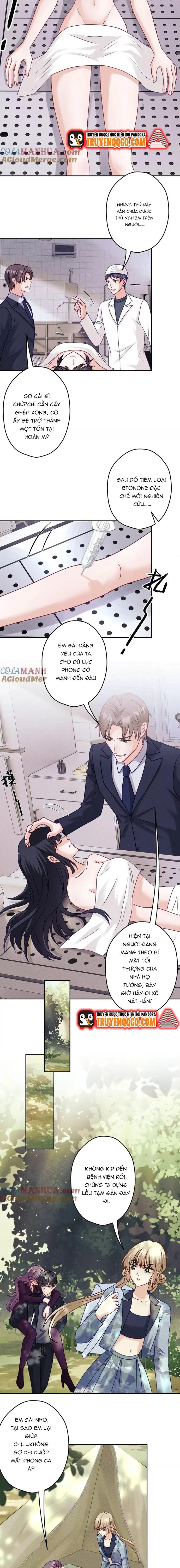 Long Vương Điện: Người Ở Rể Giàu Nhất Chapter 253 - TC Truyện
