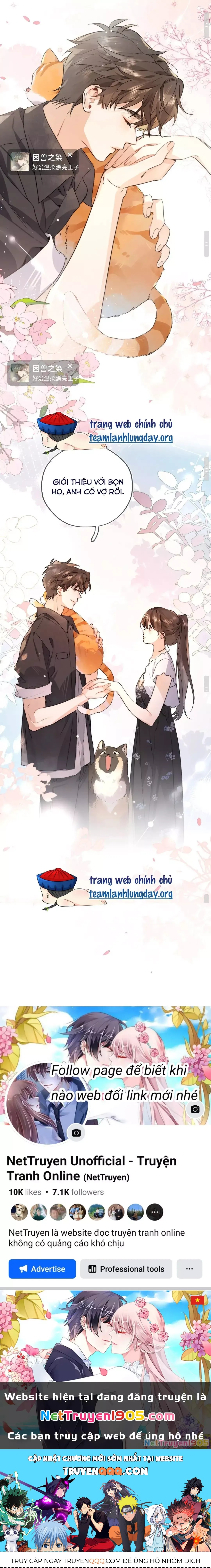 Tỏ Tình 80