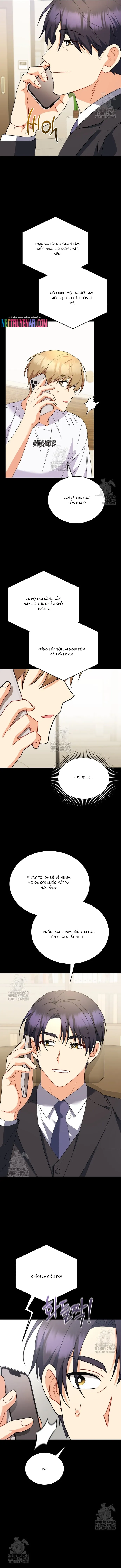 Xin Chào! Bác Sĩ Thú Y Chapter 97 - TC Truyện
