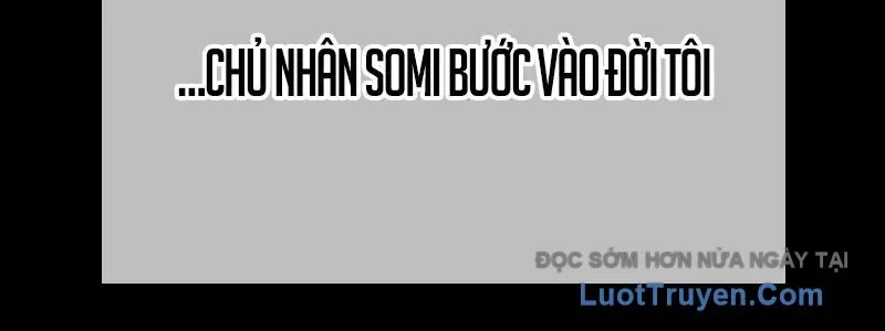 Gậy Gỗ Cấp 99+ 163