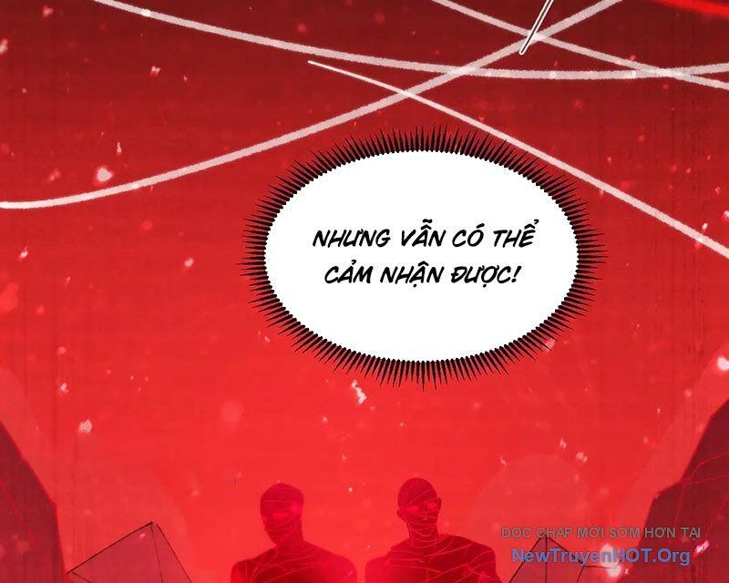 Thánh Hiệp Sĩ Cấp SSS 100