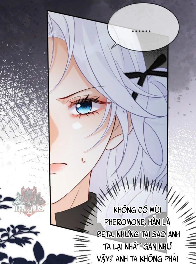 Nữ Chính Hắc Nguyệt Quang Luôn Muốn Đánh Dấu Tôi 19