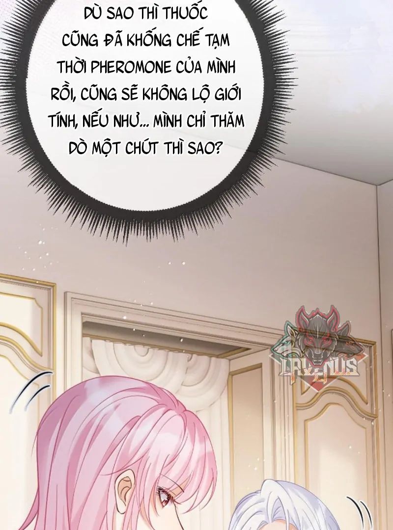 Nữ Chính Hắc Nguyệt Quang Luôn Muốn Đánh Dấu Tôi 28