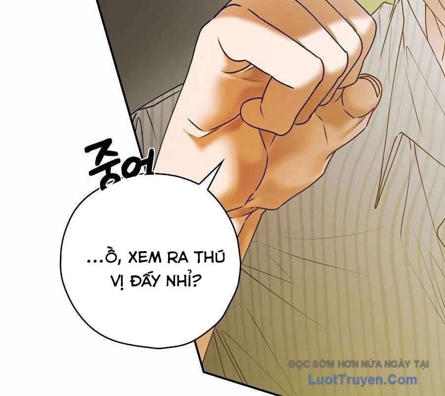 Kẻ Thống Trị Kịch Bản 43