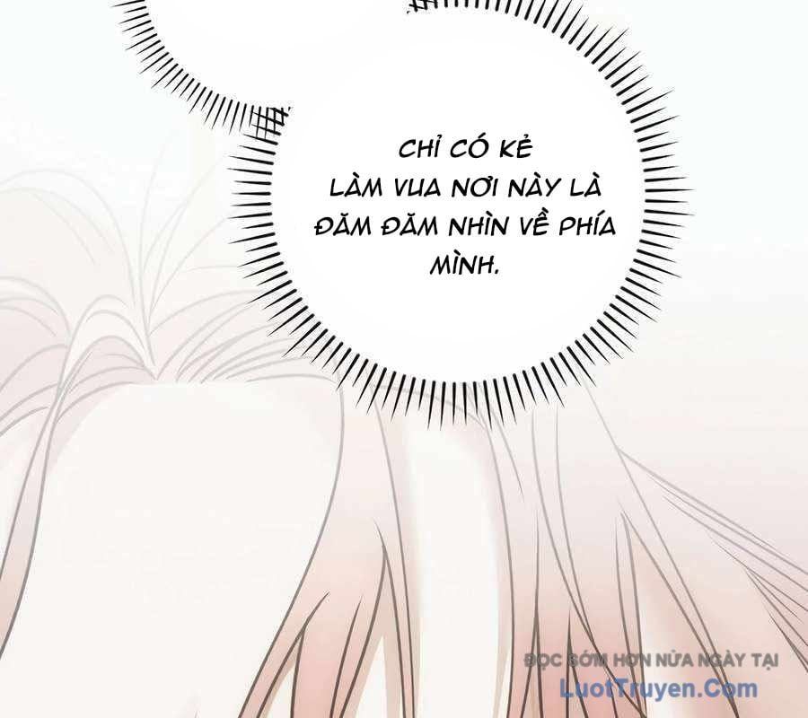 Kẻ Thống Trị Kịch Bản 43