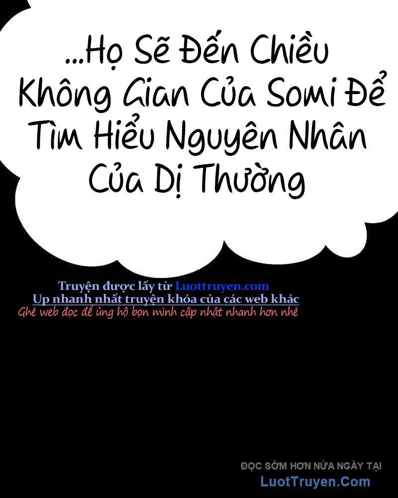 Gậy Gỗ Cấp 99+ 164