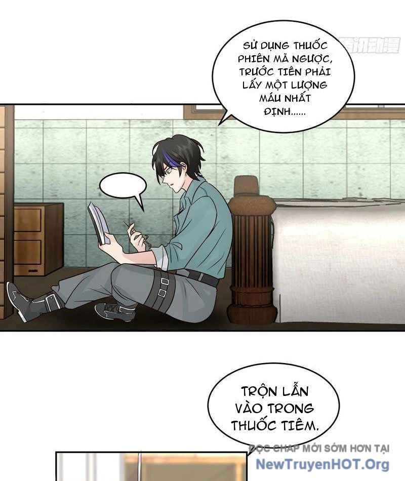 Tiến Hóa Ban Đầu 13