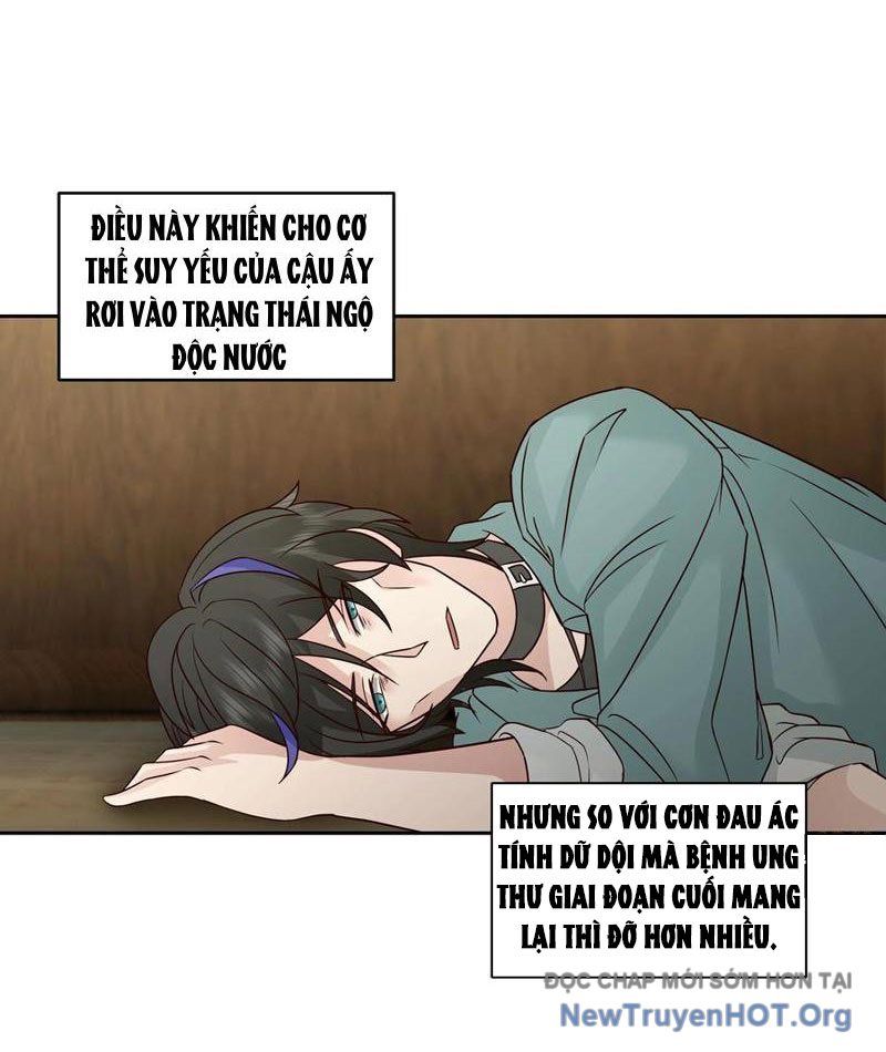 Tiến Hóa Ban Đầu 13