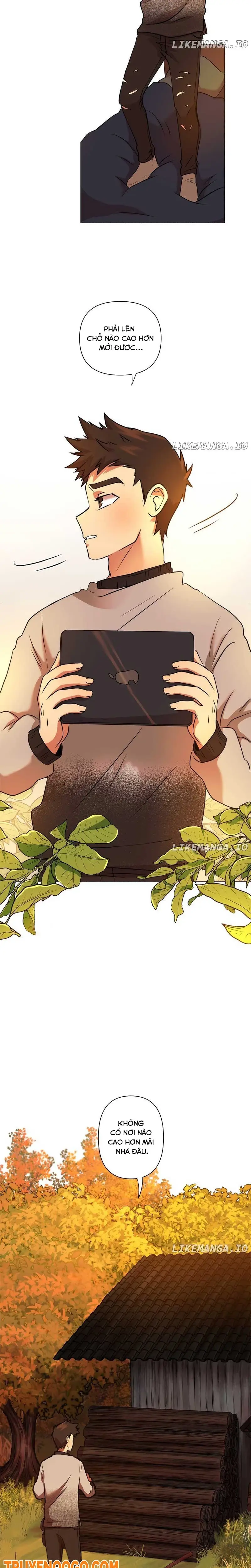 Roots Of The Heart 11