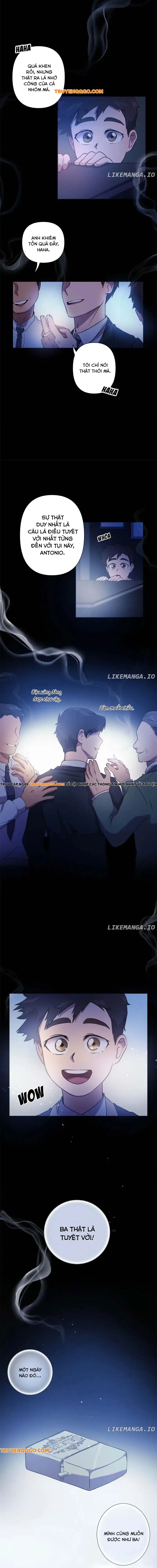 Roots Of The Heart 15