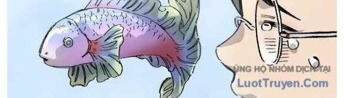 Sắp Xuất Ngũ Thì Isekai 166