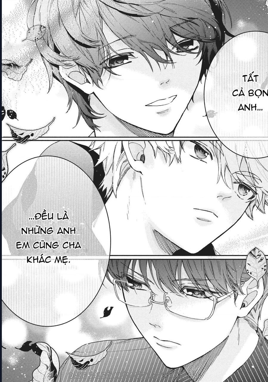 Boss Bride Days [Chap 1-8]