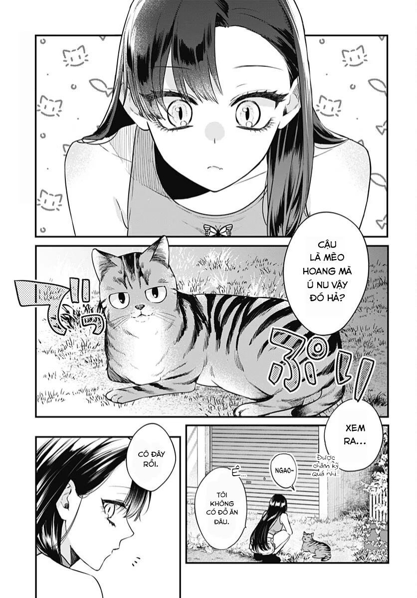 Mi-chan wa kawaretai Chapter 20 - TC Truyện