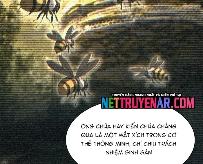 Mạt Thế Trùng Sinh: Ta Dựa Vào Mở Rương Vấn Dỉnh Đỉnh Phong 71