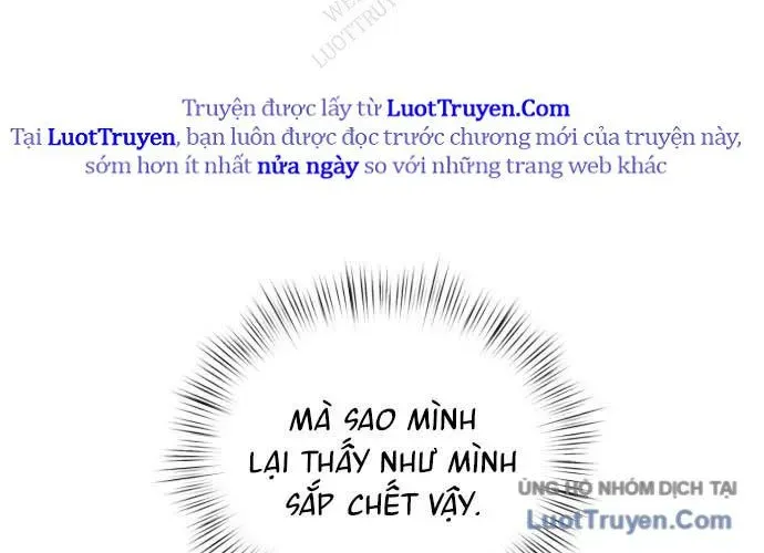 Diễn Viên Gangster 23