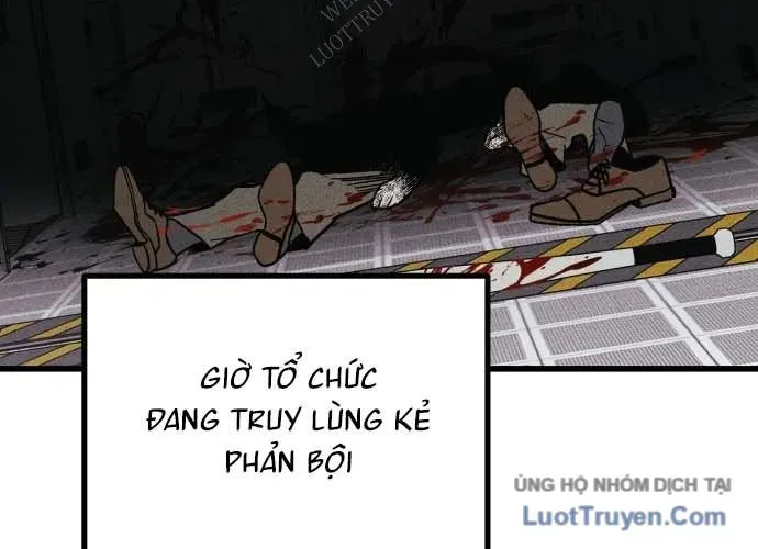 Diễn Viên Gangster 23