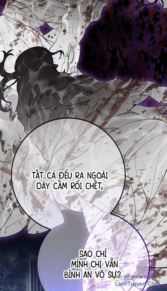 Bari, Tia Sét Đánh Thức Vì Sao 1