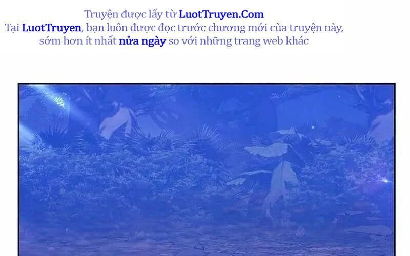 Gậy Gỗ Cấp 99+ 165