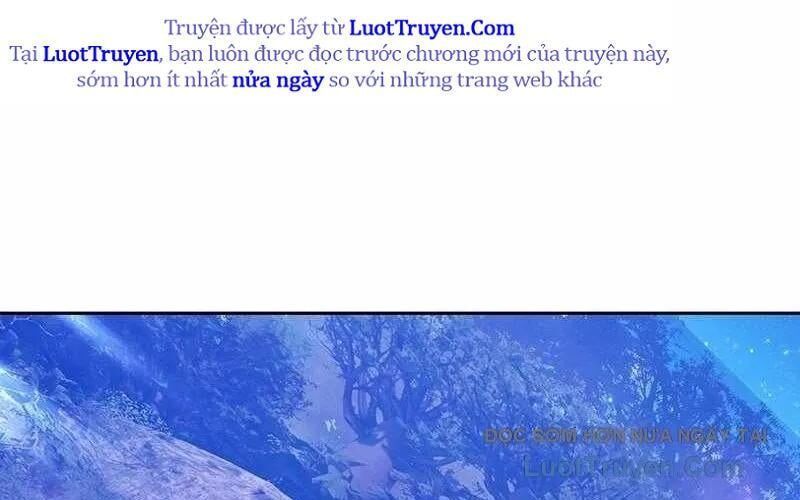 Gậy Gỗ Cấp 99+ 165