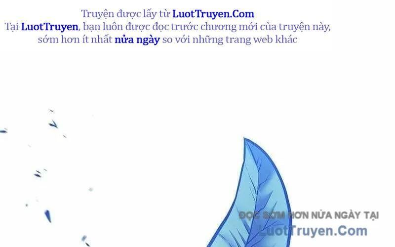 Gậy Gỗ Cấp 99+ 165