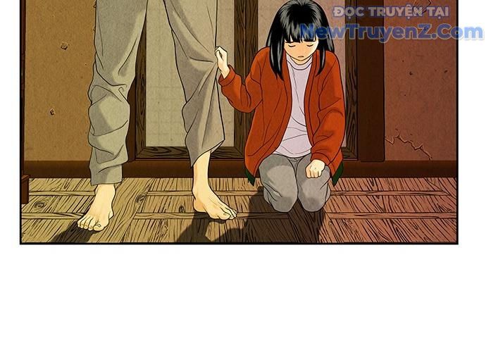 Cửa Hàng Đồ Cổ Tương Lai 23