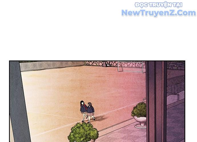 Cửa Hàng Đồ Cổ Tương Lai 23