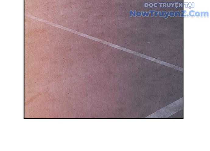 Cửa Hàng Đồ Cổ Tương Lai 23