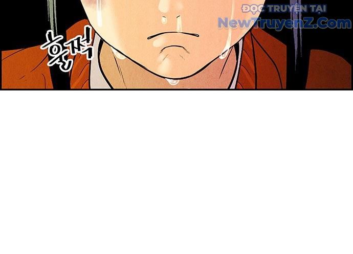 Cửa Hàng Đồ Cổ Tương Lai 23