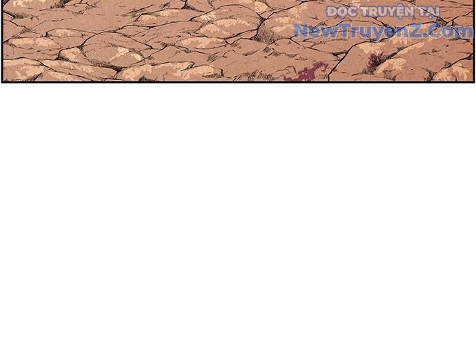 Cửa Hàng Đồ Cổ Tương Lai 23