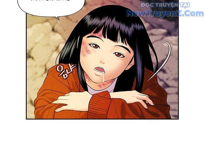 Cửa Hàng Đồ Cổ Tương Lai 23