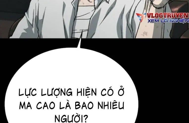 Cửu Long Saroka 49