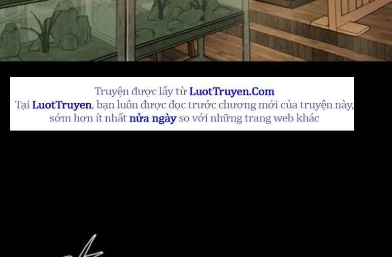 Cửu Long Saroka 49