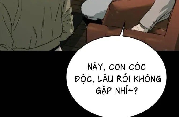 Cửu Long Saroka 49