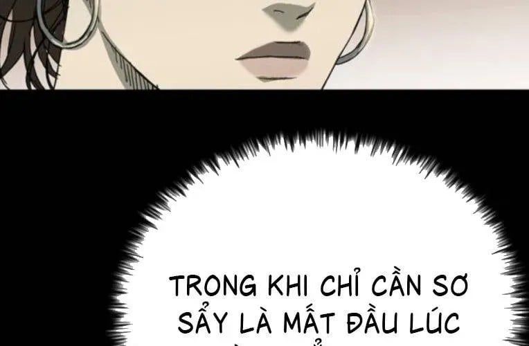 Cửu Long Saroka 49