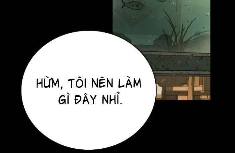 Cửu Long Saroka 49