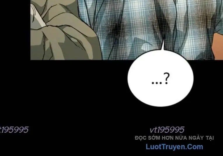 Cửu Long Saroka 49