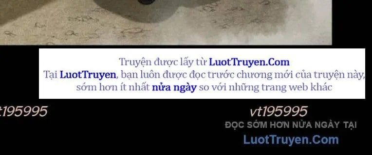 Cửu Long Saroka 49