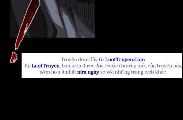 Cửu Long Saroka 49