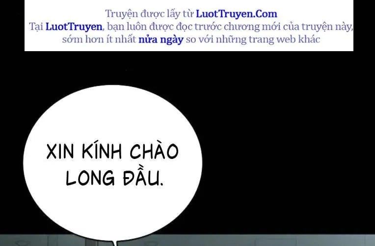 Cửu Long Saroka 49