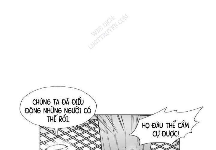 Cơn Bão Đỏ 355