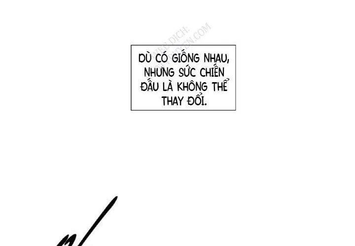 Cơn Bão Đỏ 355