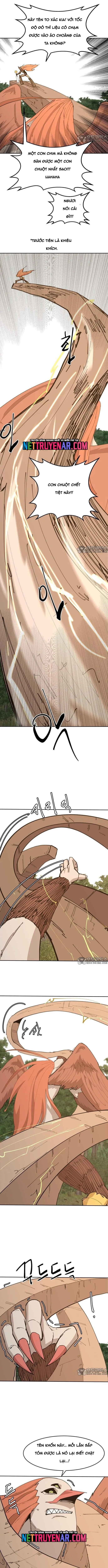 Viên Đá Đỏ 60