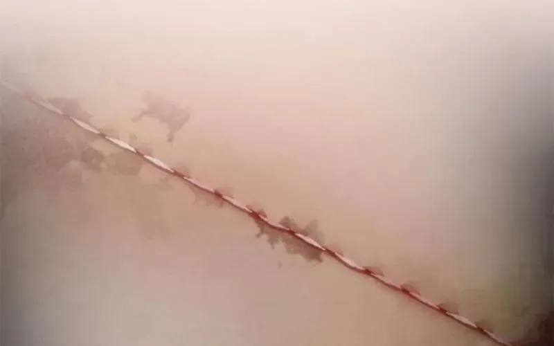 Một Anh Hùng Giỏi Mọi Thứ 59