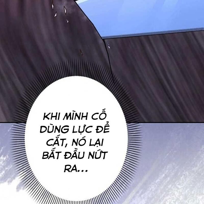 Sự Tái Sinh Của Nhà Thiết Kế Tài Ba 11