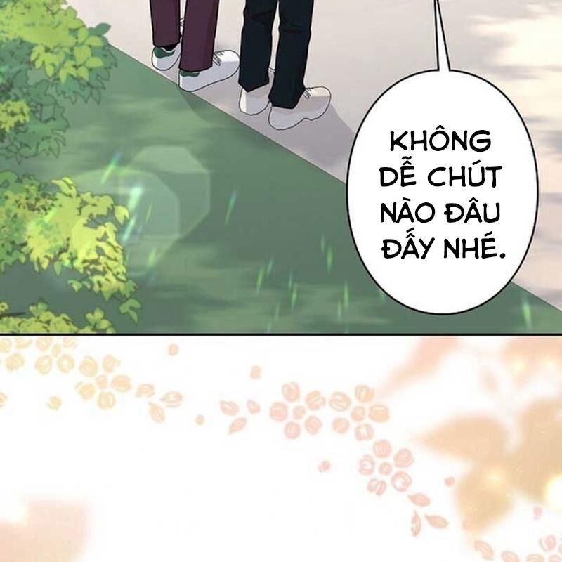 Sự Tái Sinh Của Nhà Thiết Kế Tài Ba 11