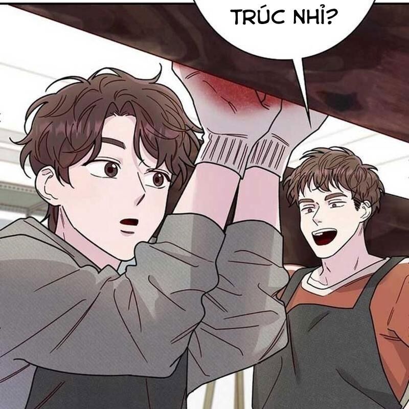 Sự Tái Sinh Của Nhà Thiết Kế Tài Ba 12
