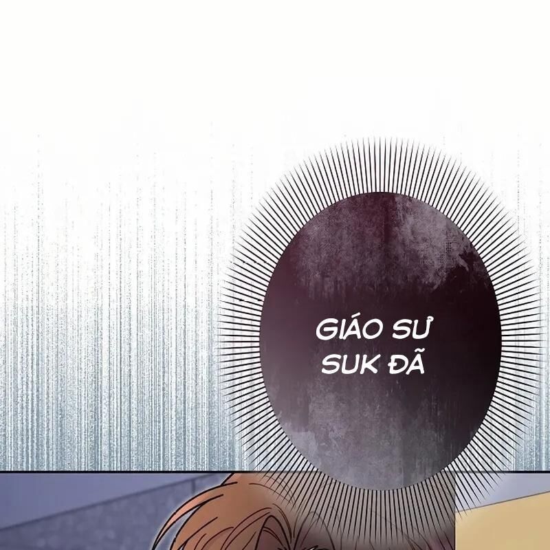Sự Tái Sinh Của Nhà Thiết Kế Tài Ba 13