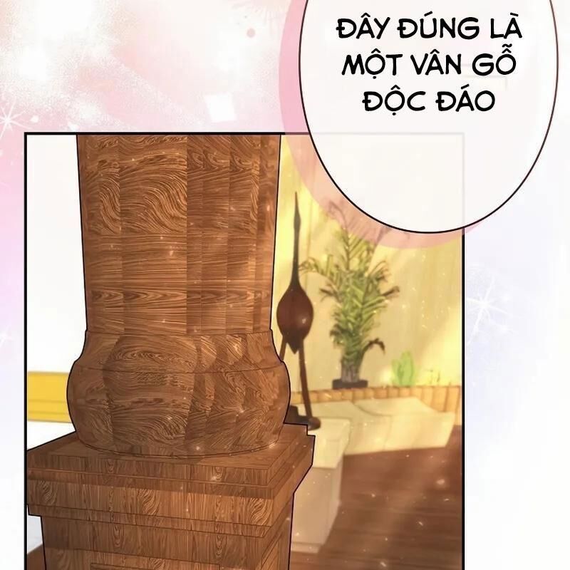 Sự Tái Sinh Của Nhà Thiết Kế Tài Ba 13