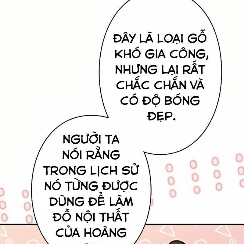 Sự Tái Sinh Của Nhà Thiết Kế Tài Ba 13